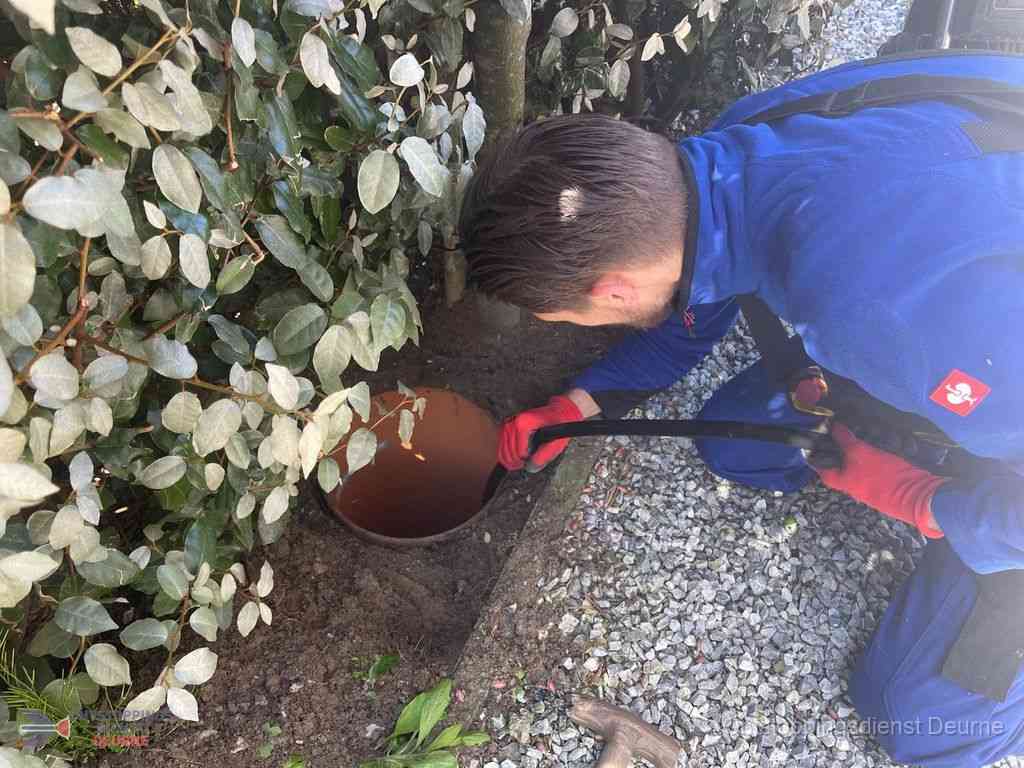 Rioolvliegjes Deurne Rioolvliegjes Deurne